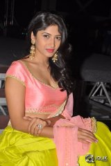 Roshni Prakash At Sapthagiri Express Movie Audio Launch